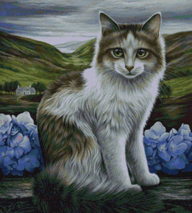 Котик - цветы, природа, кот, коты, пейзаж, животные - предпросмотр