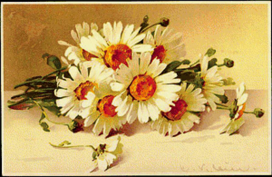 Ромашки - вышивка крестом - предпросмотр