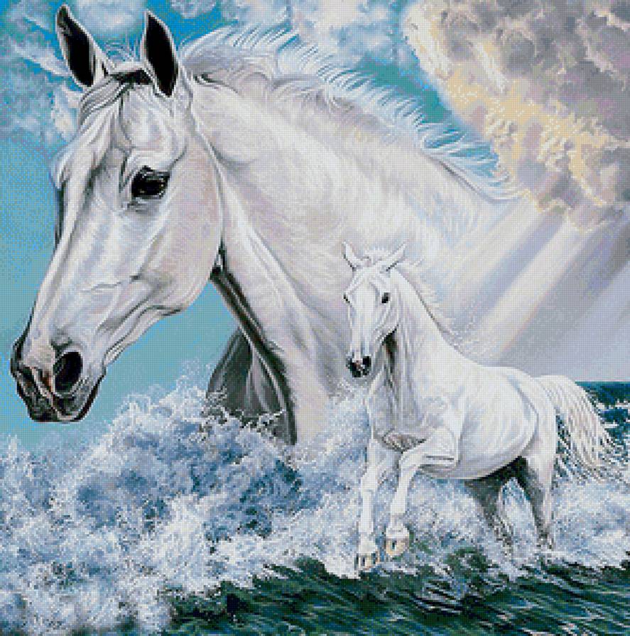 128 - предпросмотр