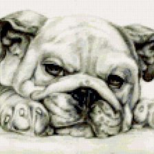 Схема вышивки «Патя модера»