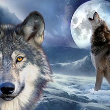 Схема вышивки «Волки»