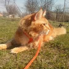 Схема вышивки «сэмочка»