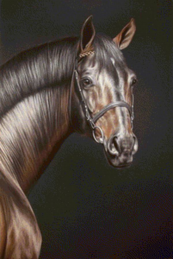 №1190854 - предпросмотр