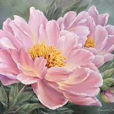 Схема вышивки «Пионы»