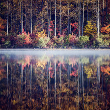 Схема вышивки «лес в отражении»