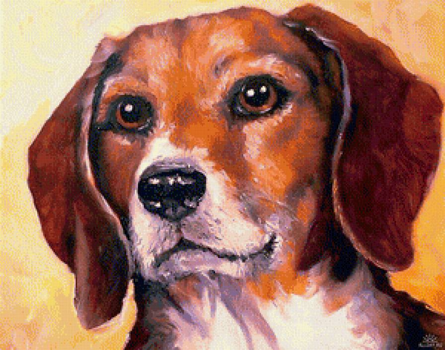 собачка - домашние животные, собака - предпросмотр