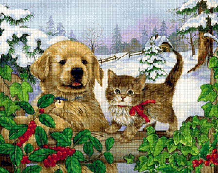 Друзья - кошка, животные, котенок, кот, собака, щенок - предпросмотр