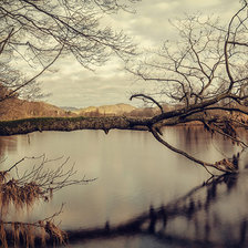 Схема вышивки «Дерево над озером»
