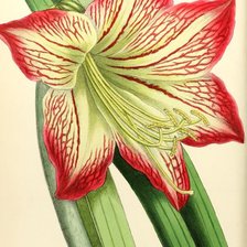 Схема вышивки «№1191885»