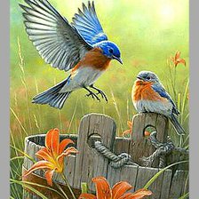 Схема вышивки «Серия птицы»