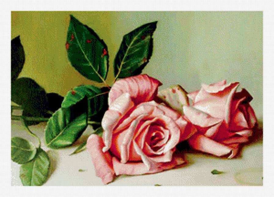 Розы - вышивка крестом - предпросмотр