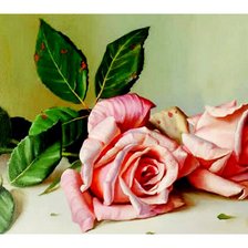 Схема вышивки «Розы»