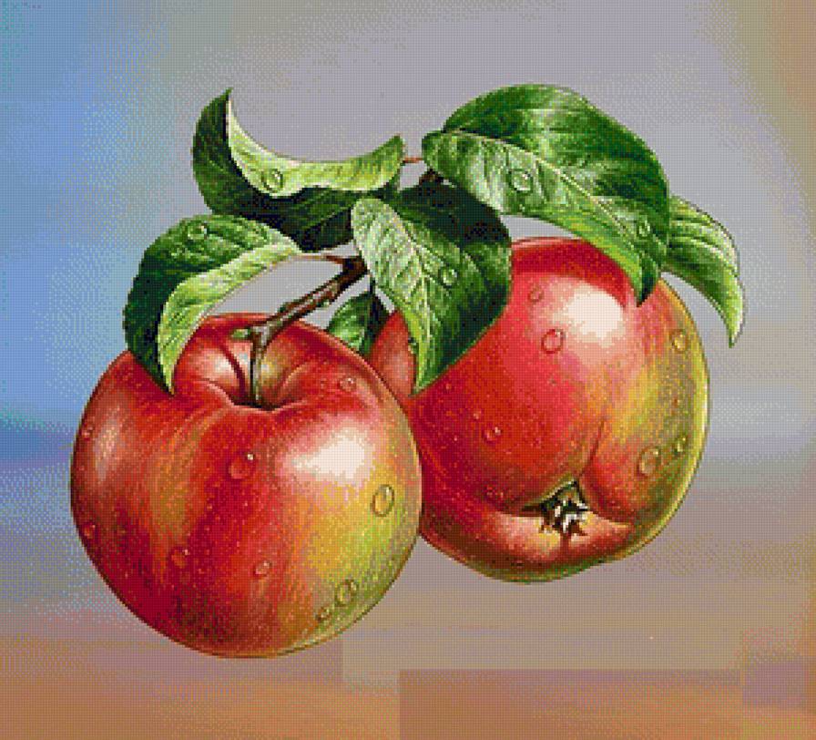 №1191944 - предпросмотр