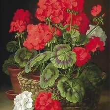 Схема вышивки «Герань»