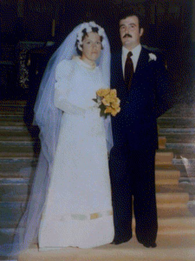 boda - предпросмотр