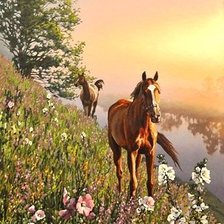 Схема вышивки «лошади»