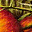 Предпросмотр схемы вышивки «Яблоки» (№1193097)