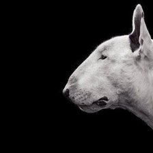 Схема вышивки «№1193151»