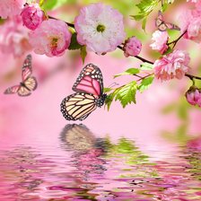 Схема вышивки «Сакура»