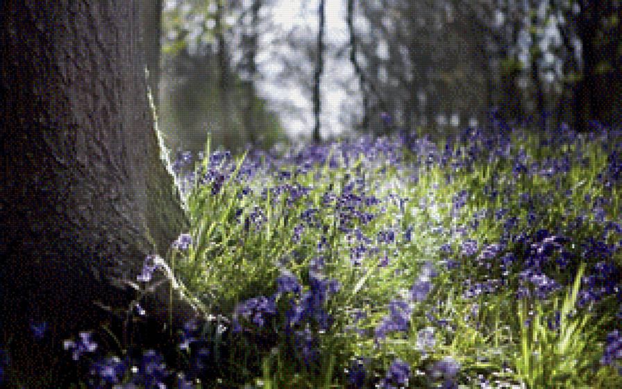 №1193421 - спокойствие, лес, цветы, природа - предпросмотр