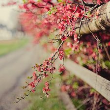 Схема вышивки «№1193426»