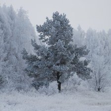 Схема вышивки «Зимний пейзаж»