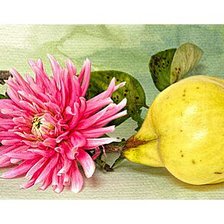 Схема вышивки «Натюрморт»