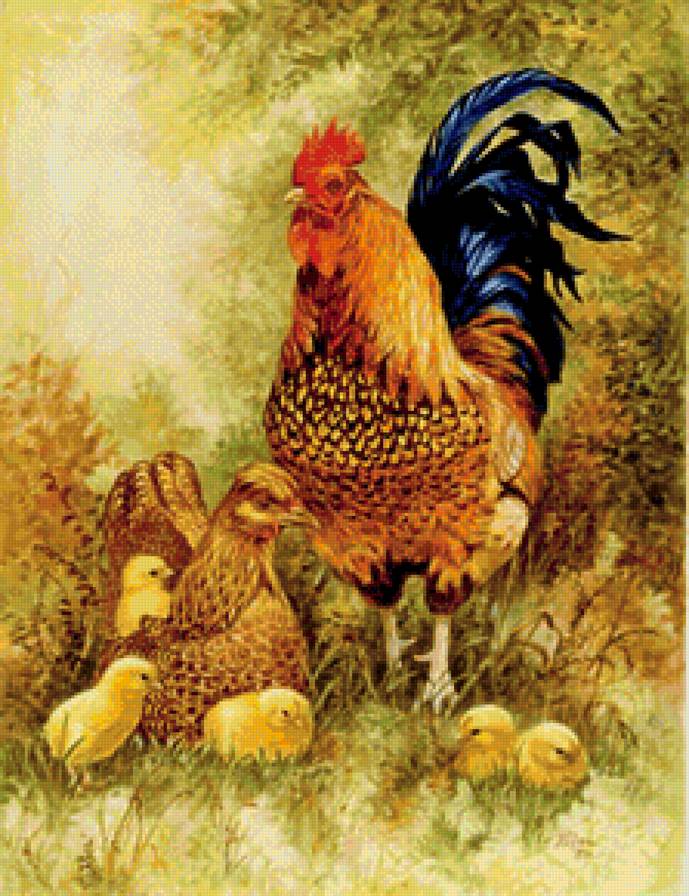 Счастливое семейство - домашние птицы - предпросмотр