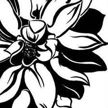 Схема вышивки «Подушка  моно 2»