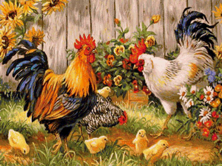 Птичий мир - домашние птицы - предпросмотр