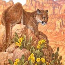 Схема вышивки «Дикая кошка»