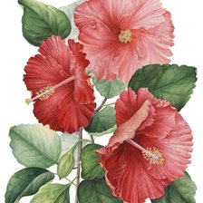 Схема вышивки «№1194745»