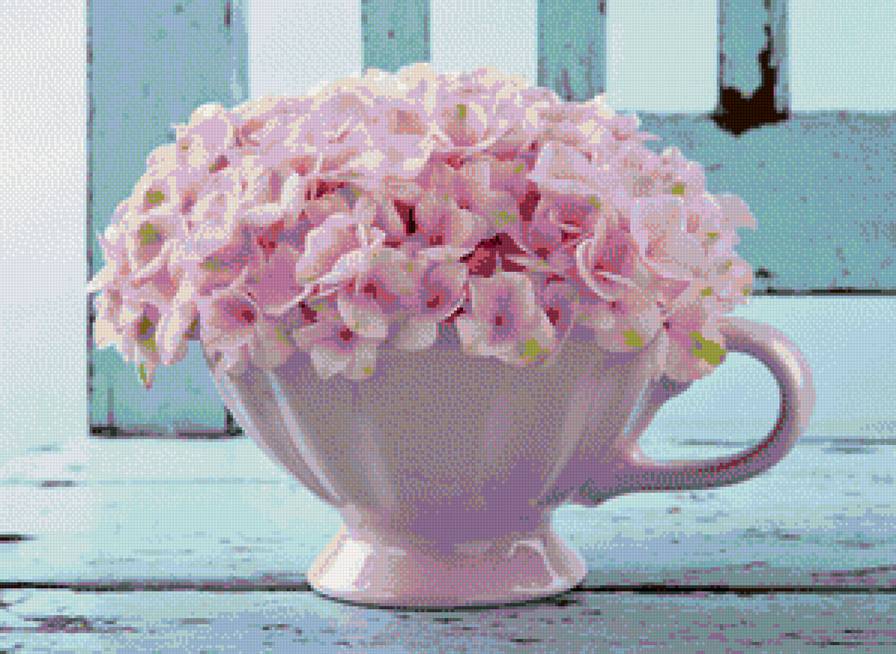 гошочек гортензии - предпросмотр