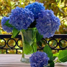 Схема вышивки «Синяя гортензия»