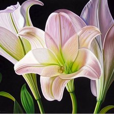 Схема вышивки «№1194855»