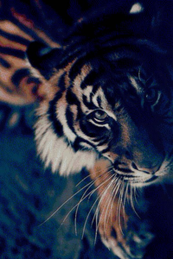 Хищник - животные, тигр - предпросмотр