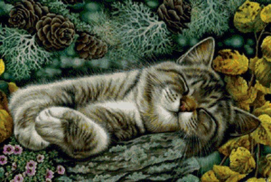 спящее чудо - предпросмотр