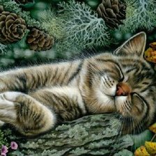 Схема вышивки «спящее чудо»