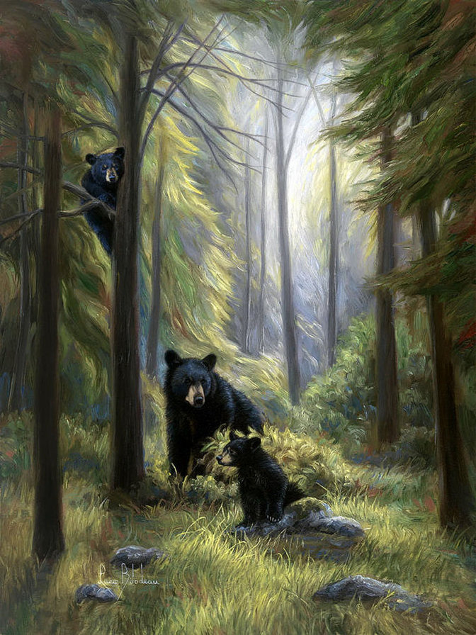 сказочный лес - лес, медведи, пейзаж, природа - оригинал