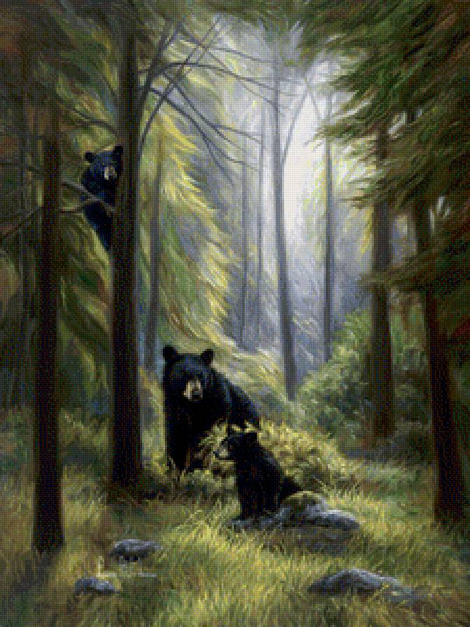 сказочный лес - пейзаж, медведи, лес, природа - предпросмотр