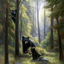 Схема вышивки «сказочный лес»