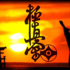 Схема вышивки «Киокушинкай»