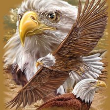 Схема вышивки «хозяин неба»