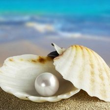 Жемчужинка