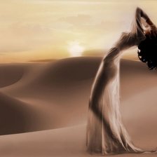 Схема вышивки «Заложница пустыни»