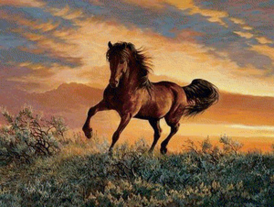 На закате - пейзаж, природа, лошади - предпросмотр