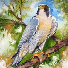 Схема вышивки «птица»