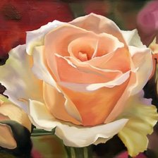 Схема вышивки «Роза»