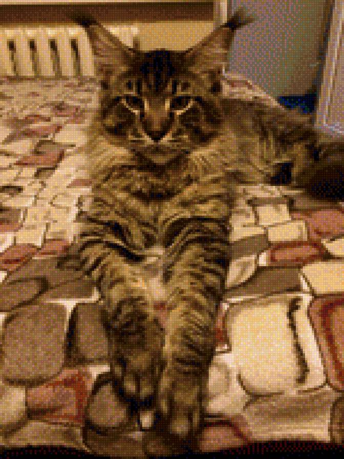 кися - предпросмотр