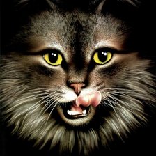 Схема вышивки «кошка»